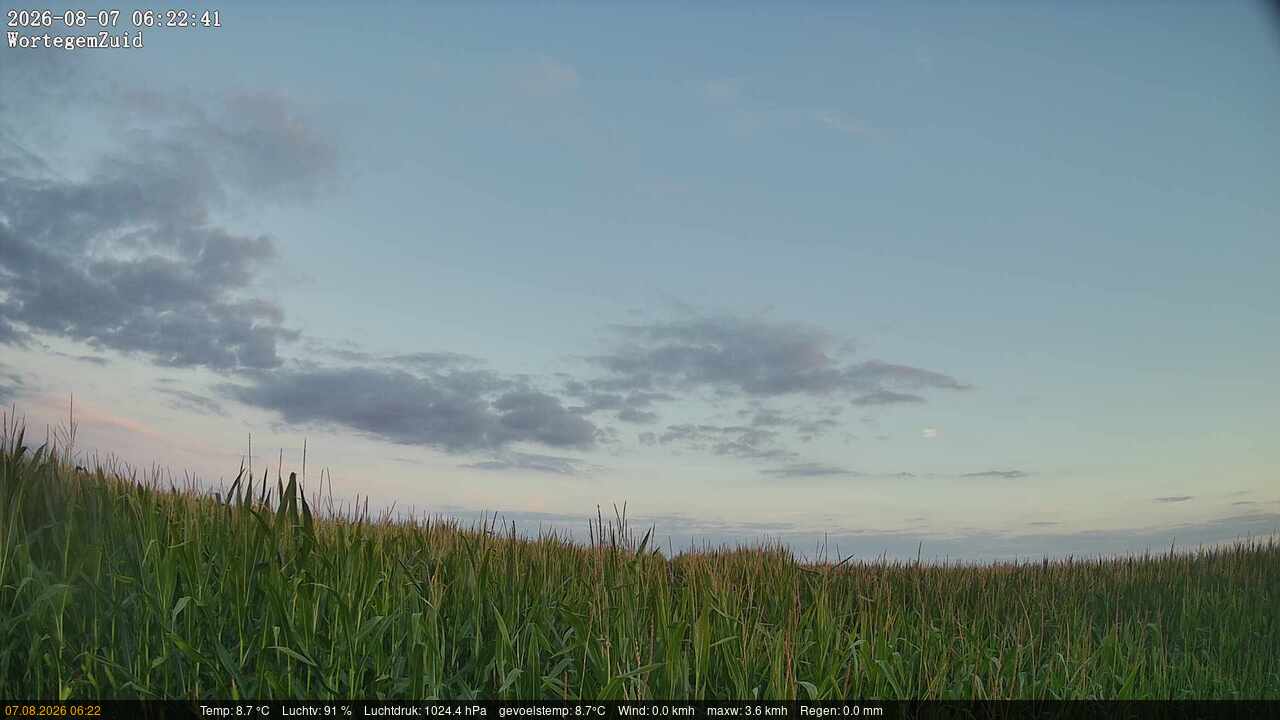 07-08-2026 06:30