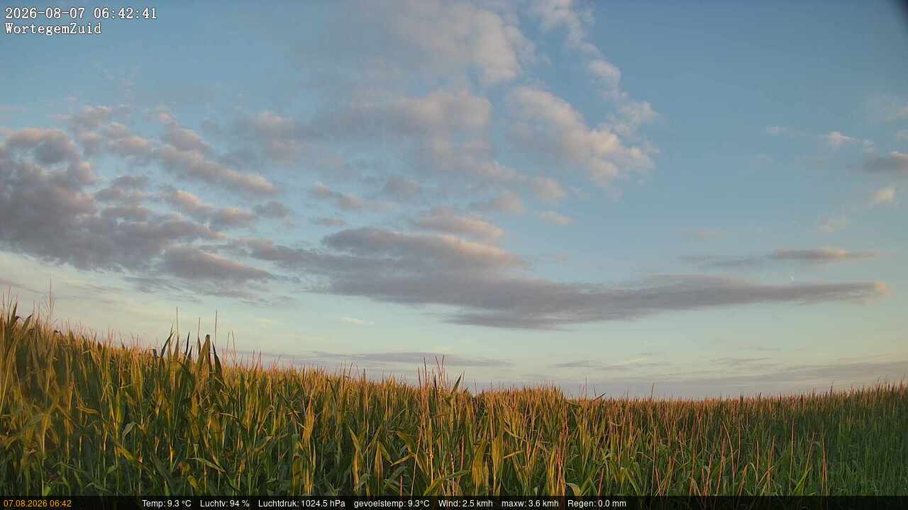 07-08-2026 06:45