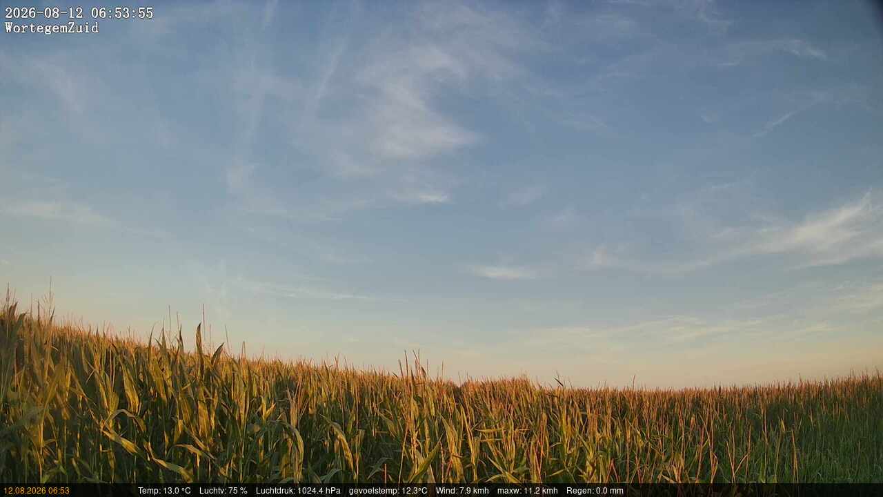 12-08-2026 07:00