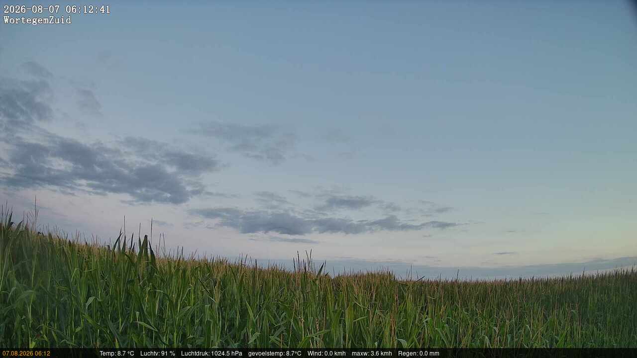 07-08-2026 06:15