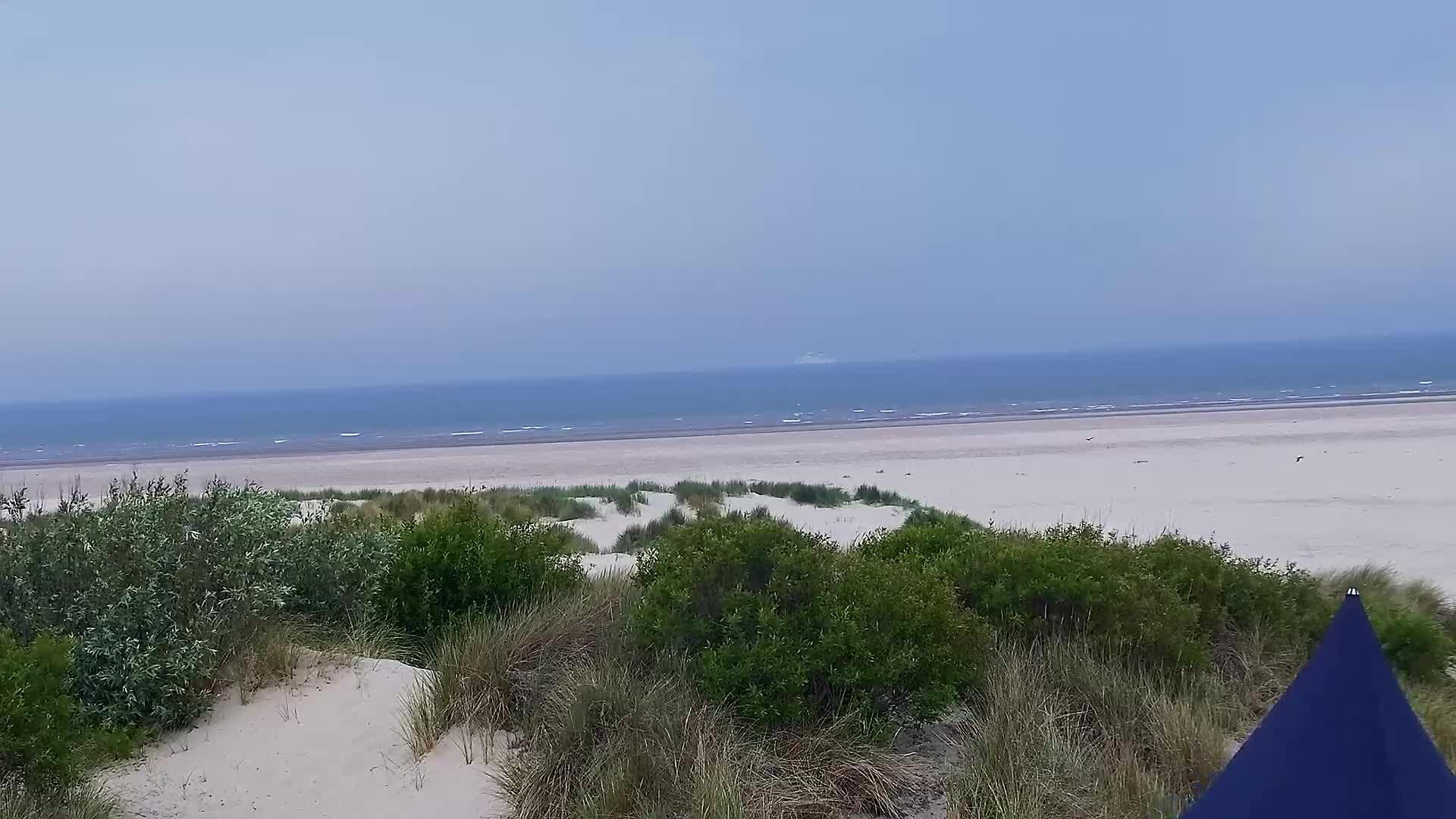 29-05-2026 16:45
