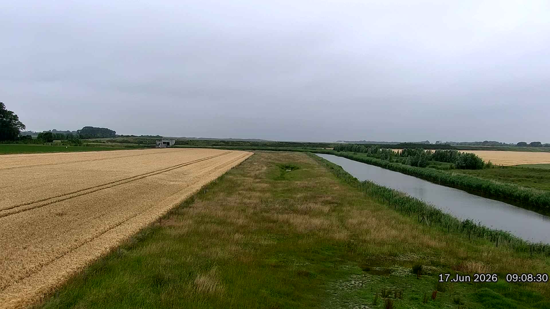 17-06-2026 09:15