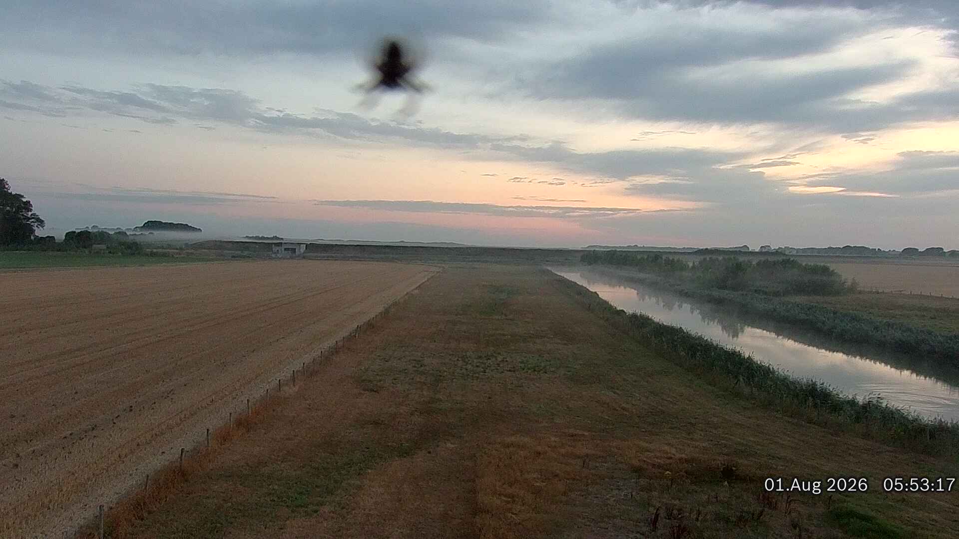 01-08-2026 06:00